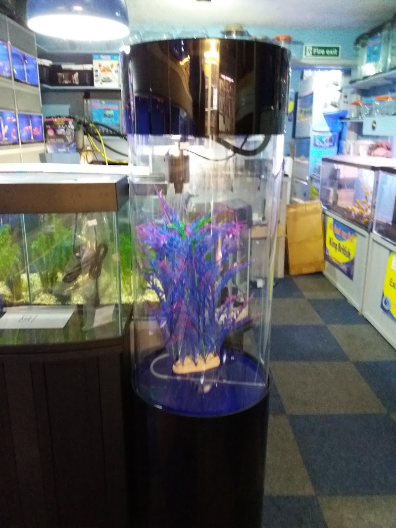 Pet Talk incorporating Heywood Aquatics photo 3