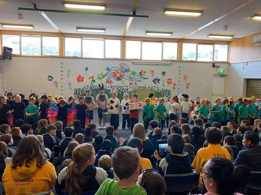Springfield Primary School - Visual