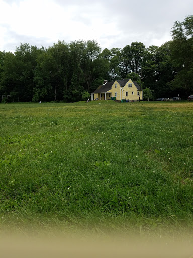 Edgely Ultimate Fields - Visual