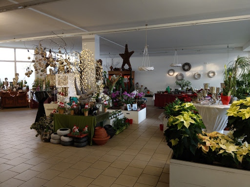 Haus der Blumen und Geschenke - Thumbnail
