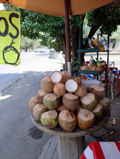 COCOsDRILO - Visual