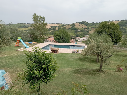 Professione Piscina - Visual
