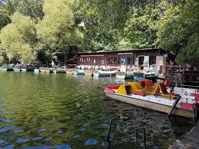 Wolfgang Düring boat rental