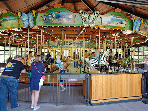 Conservation Carousel - Visual