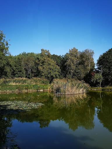 Waldparkplatz Thimos