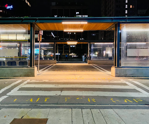 MacNab Transit Terminal Logo