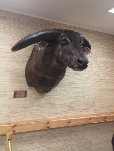 Photos of Hunting and Nature Museum