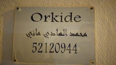 ORKIDE