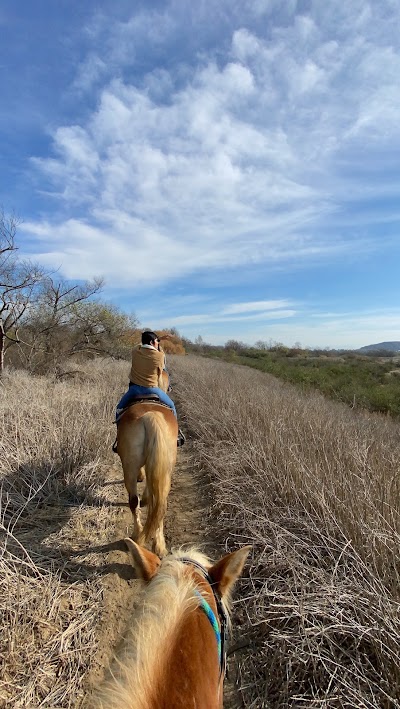 San Diego Beach Rides, Horse Rentals & Wagon Rides