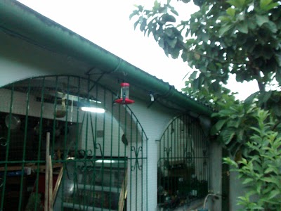 Photos of Hotel Brisas de Minca