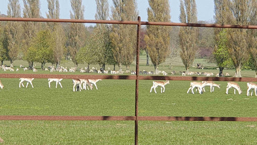 Revesby Estate - Thumbnail