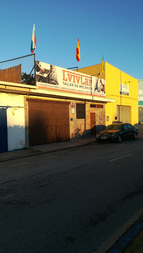 Lvivcar - Visual