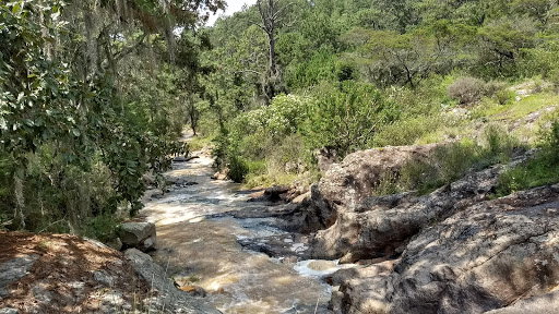 Sur de Jalisco - Thumbnail