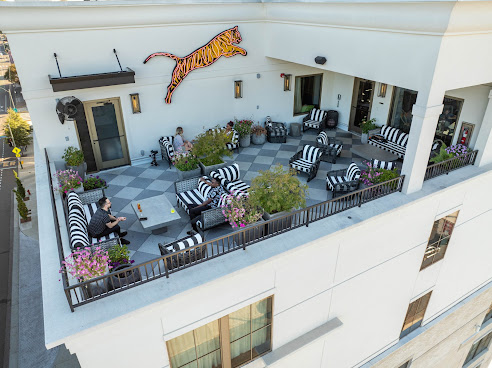 Tiger and Peacock by null