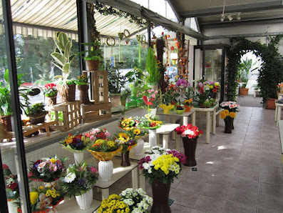 Blumenhaus H. Wolf - Floristik - Gärtnerei - Grabpflege Magdeburger Str. 91, 39340 Haldensleben, Deutschland
