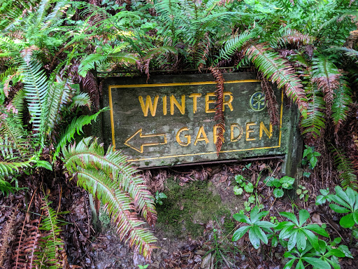 Winter Garden - Visual