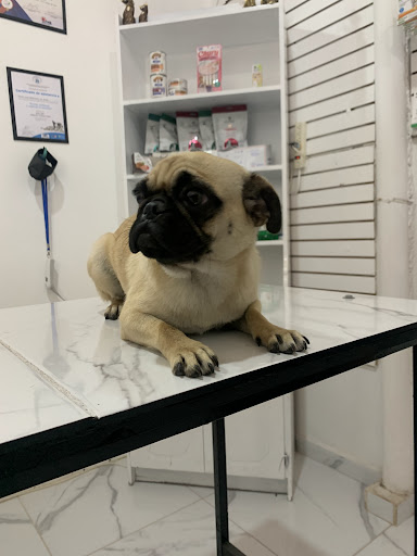 Veterinaria CCM (Centro de Cuidados para Mascotas)