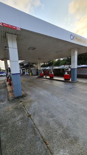Fiveways Garage - Visual