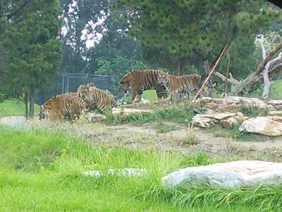 Photos of Beijing Wildlife Park