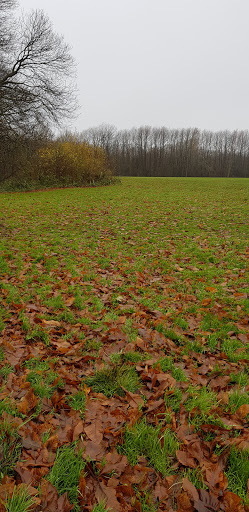 Kings Hill Sports Park - Thumbnail