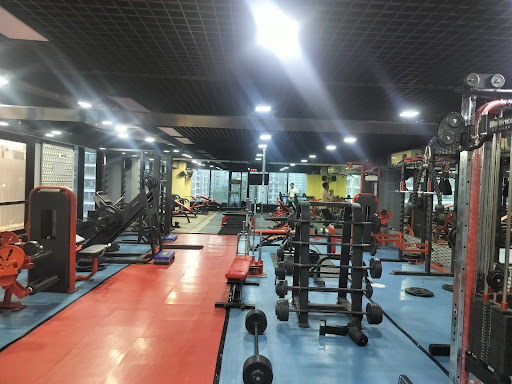Muscle Up Gym Vesu