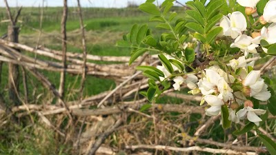 Photos of Mănăstirea de Icoana Maicii Domnului de la Iviron