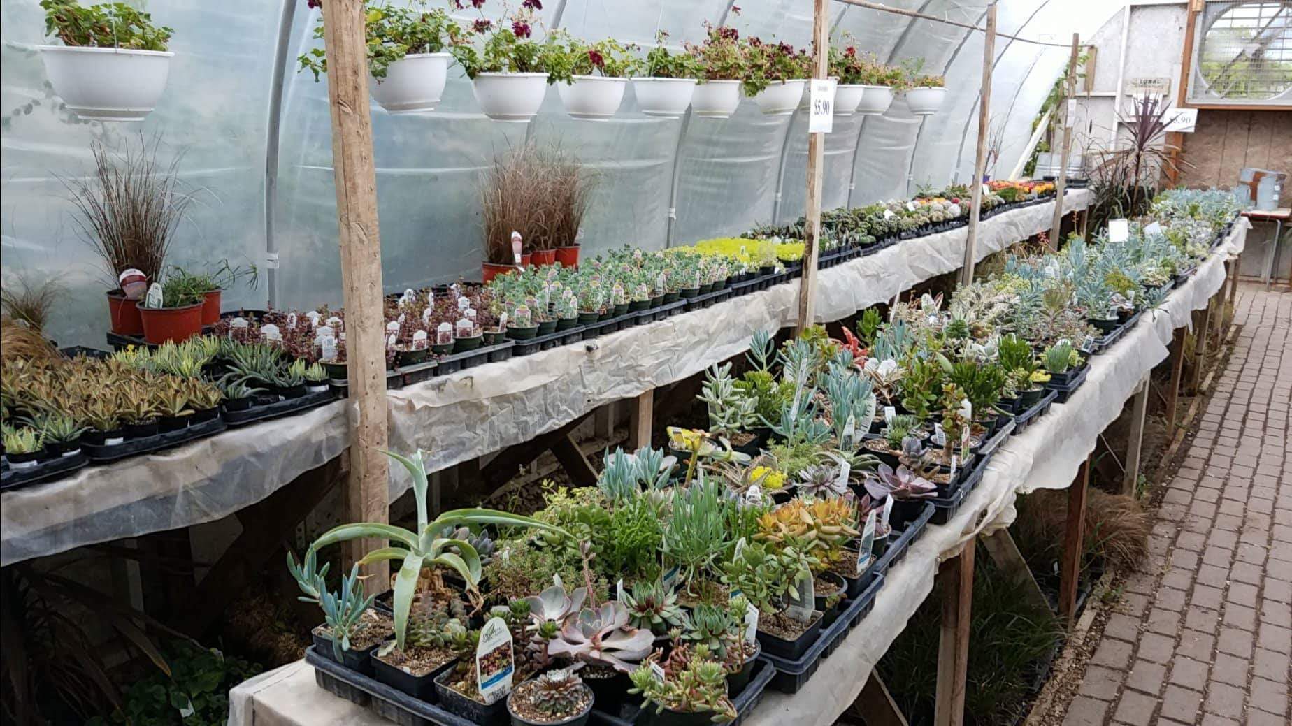 Handy Andy's Nursery
