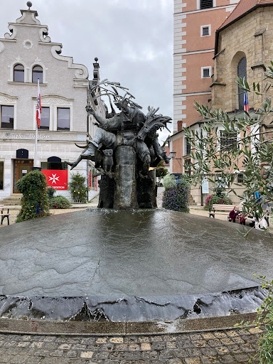 Stadt Cham - Visual