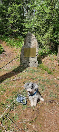 Burgruine Grimmstein (Grimmenstein) Gallery - Germany