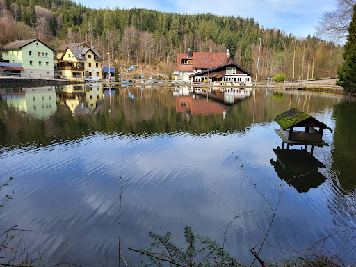 Bergsee