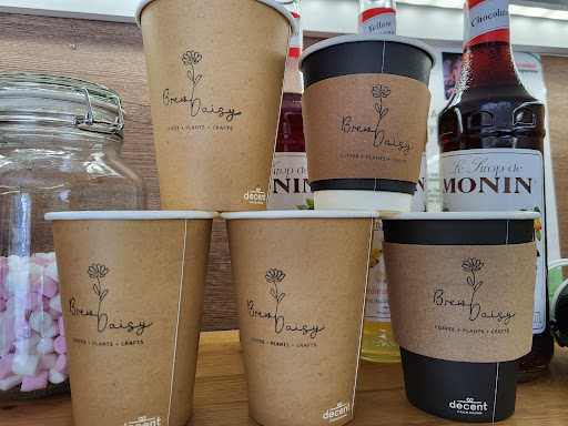 Brew Daisy - Visual
