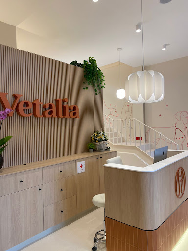 Vetalia Condesa - Hospital Veterinario 24 horas