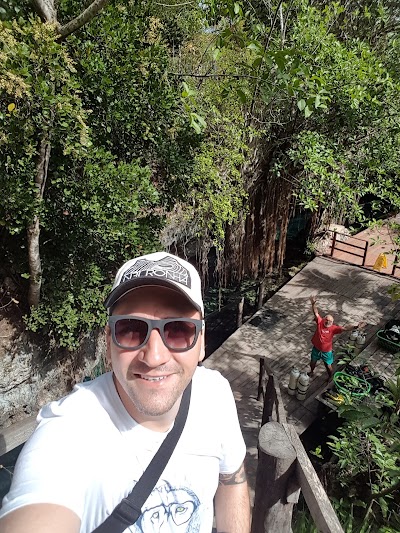 Photos of Cenote Nohoch Nah Chich