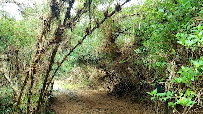 Photos of Thermal of San Juan de Pilimbal&aacute; (Termacolores)