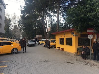 Photos of Park Taksi