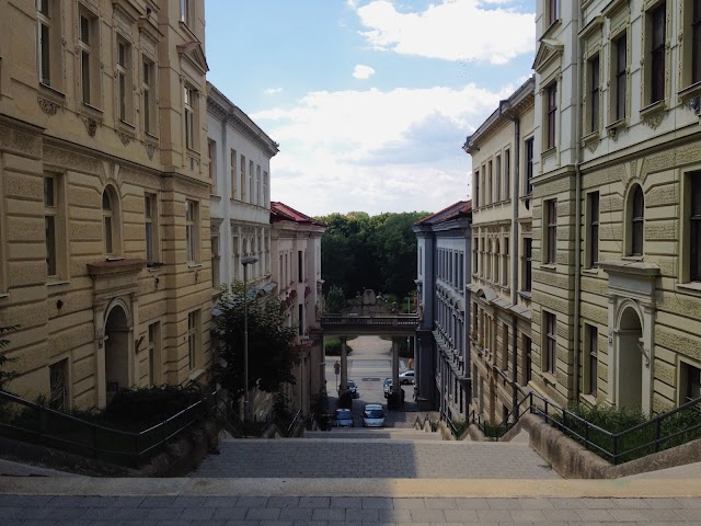 Schodová