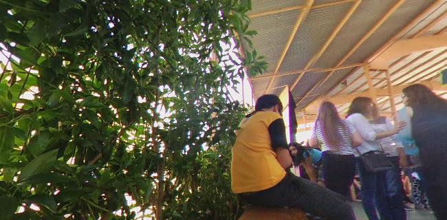 Opiniones de Colegio Hispano en Villa Alemana - Escuela