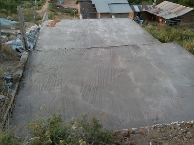 Photos of Kizurini Swamp