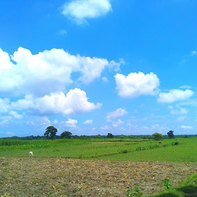 Photos of Piyarpur Bazar