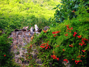 Photo n°14 de Le Mas du Pestrin, hébergements / Nuits insolites / Cousinade en Ardèche. Gîtes, spa, massage bien-être, piscine à Meyras (Piscine)