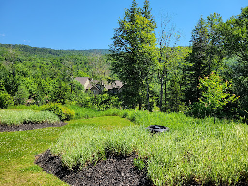 Tremblant Elysium - Visual