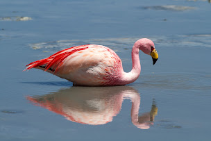 Photo n°12 de EGPN Toulouse - École de Gestion et Protection de la Nature - Bachelor et Master of Science à Toulouse (Centre de formation)