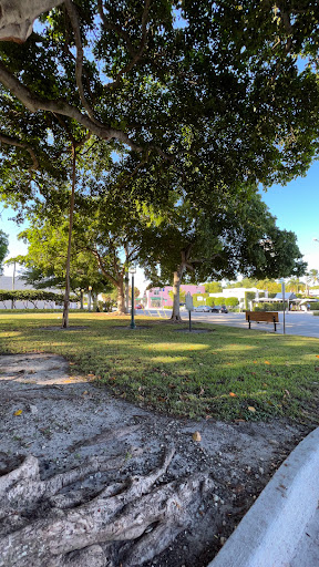 Flamingo Park - Visual