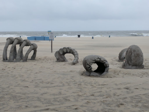 Ocean Gallery - Visual
