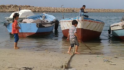 Photos of ميناء زريق البحري