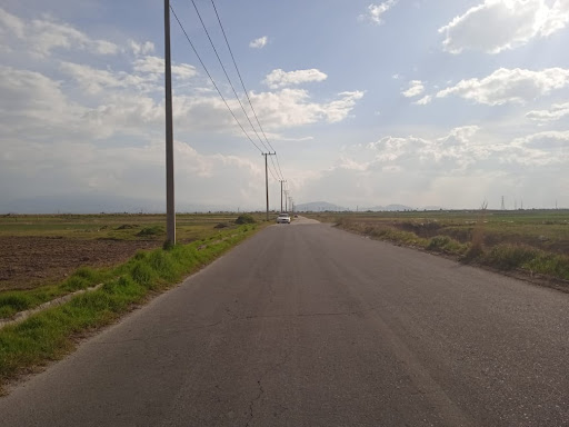 Carretera Ejidal El Espino Gallery - Mexico