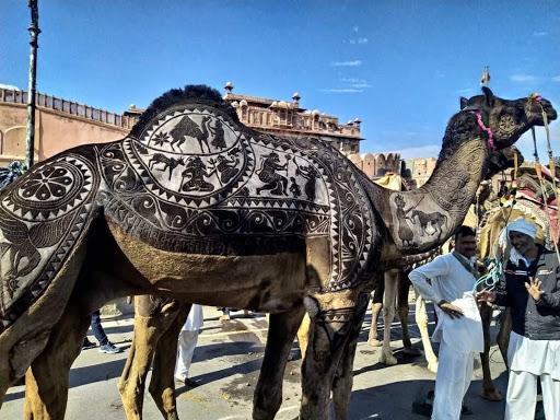 Voyage en Inde sur Mesure - Thumbnail