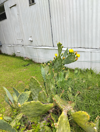 Meadow Oaks Mobile Home