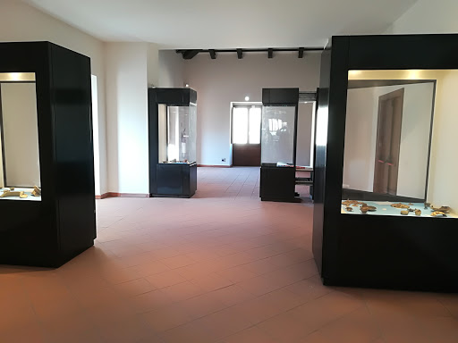 Palazzo Teotino Nieddu Delrio - Thumbnail