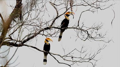 Photos of See Bhutan Travels |Tour Operators in Bhutan | Travel Agents In Bhutan